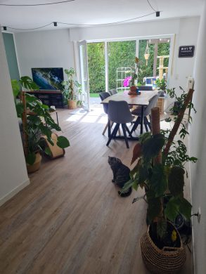 Helle und ruhige Wohnung mit Terrasse und Garten 51789 Lindlar, Etagenwohnung